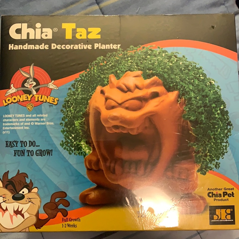 Unopened Taz chia pet